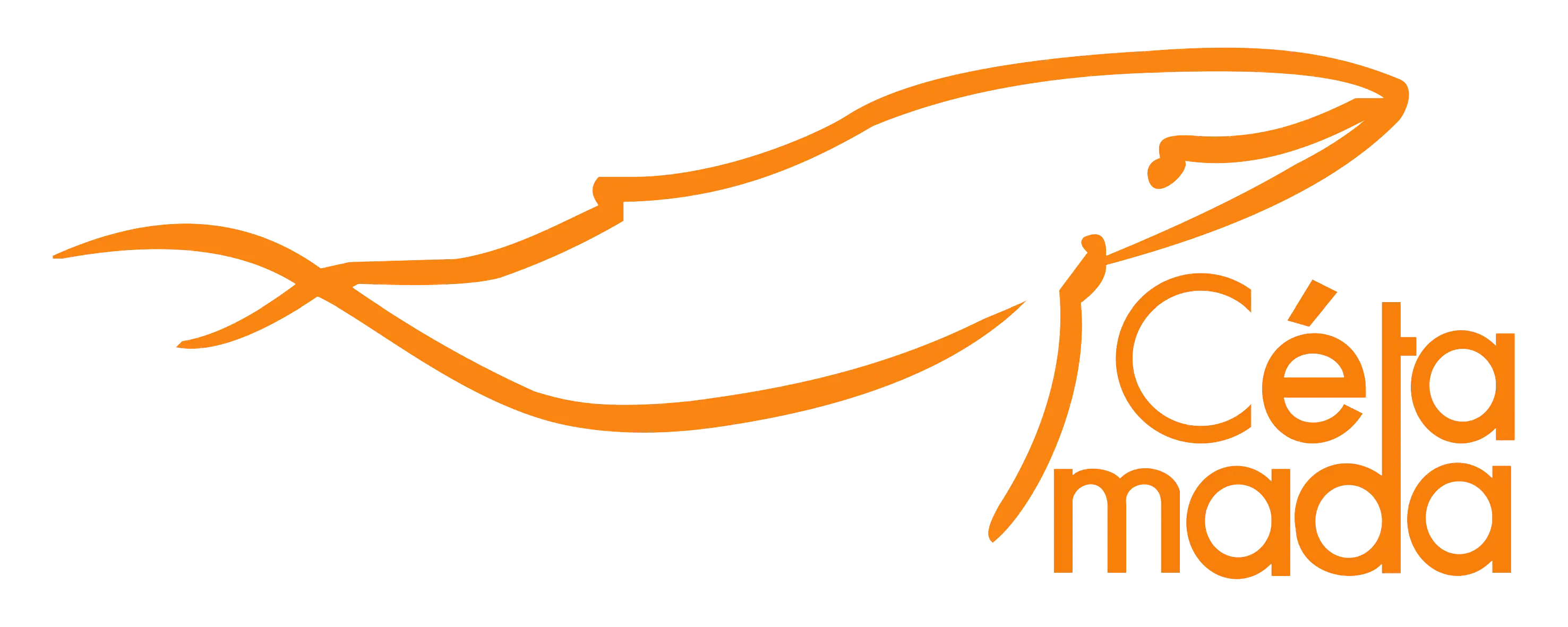 cetamada logo